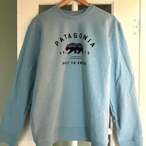 Patagonia Light Blue Sweatshirt